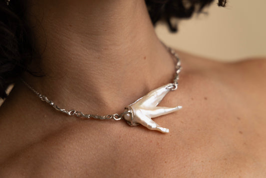 Crocodile Claw Collar